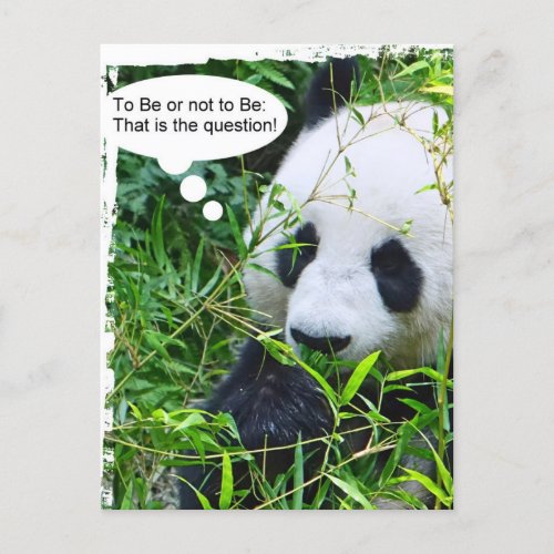 Panda Quote Animal Template Trendy Modern Postcard