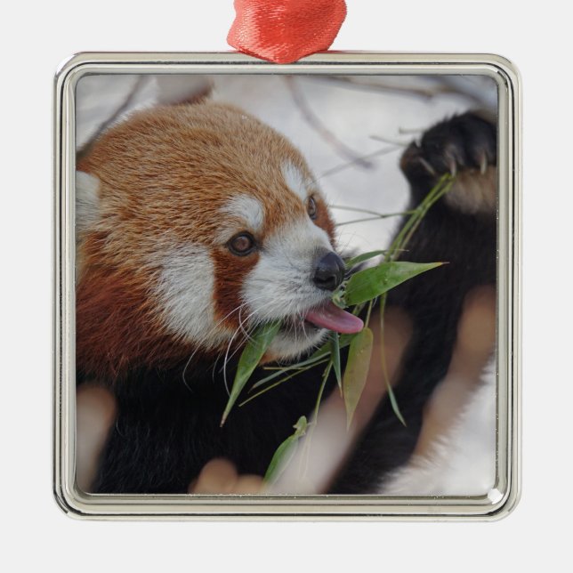 panda red animal print cute metal ornament (Front)