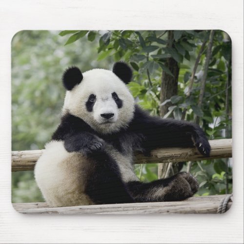 Panda Relax Time Mouse Pad