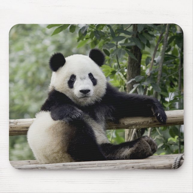 Panda Relax Time Mouse Pad (Front)