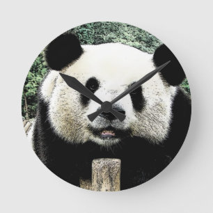 Panda Round Clock