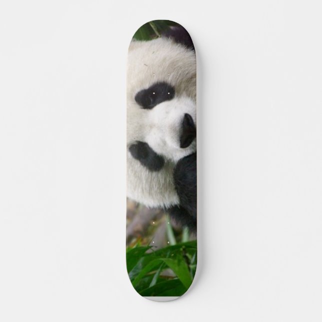 Panda Skateboard Deck (Front)
