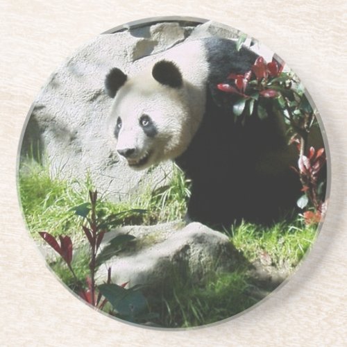 Panda Smile Coaster