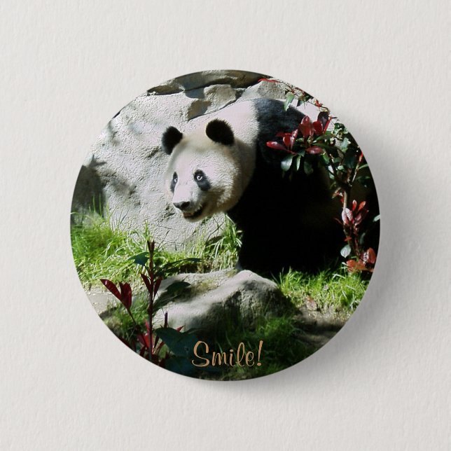 Panda Smile! Pinback Button (Front)