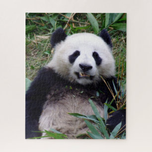 Panda Smiles while having Bamboo lunch (puzzle) Jigsaw Puzzle