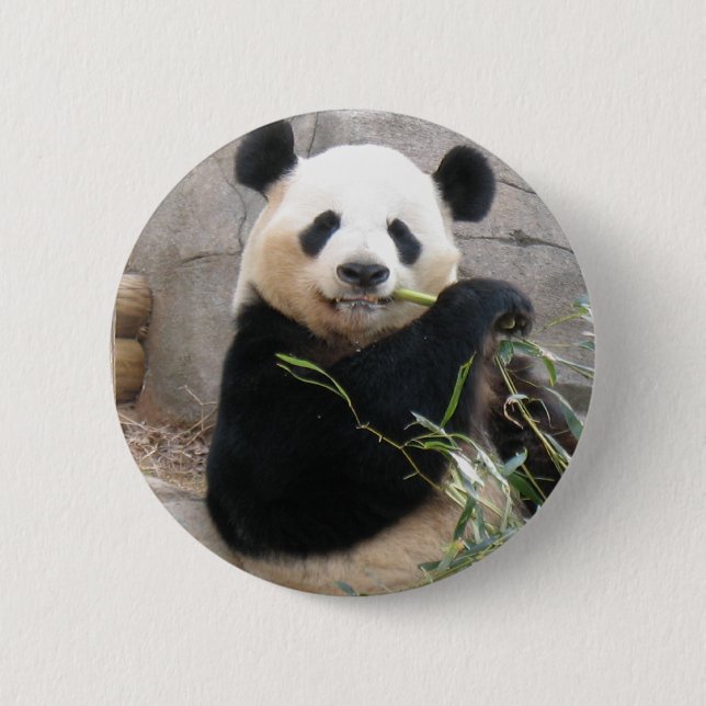 Panda Snack Button (Front)