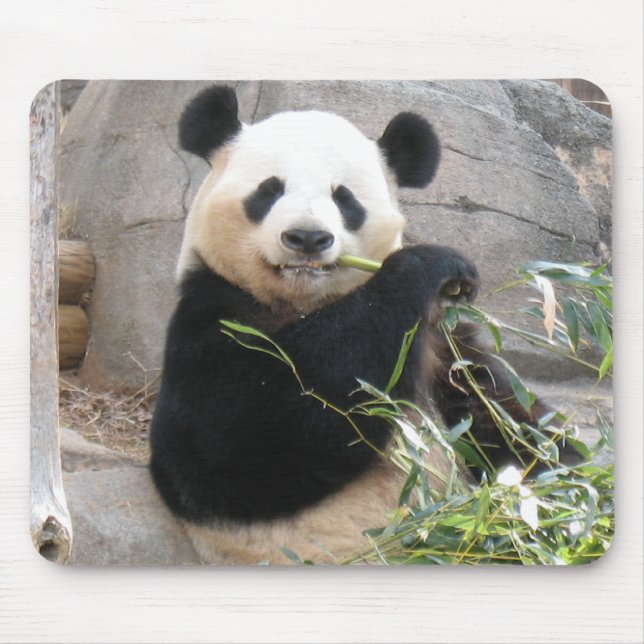Panda Snack Mouse Pad (Front)