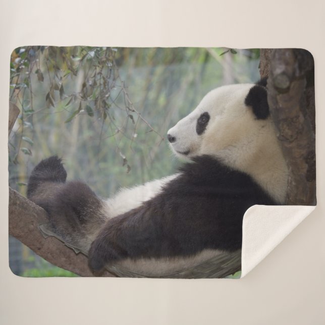 PANDA SNOOZE SHERPA BLANKET (Front (Horizontal))