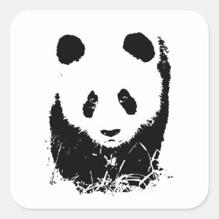 Panda Square Sticker