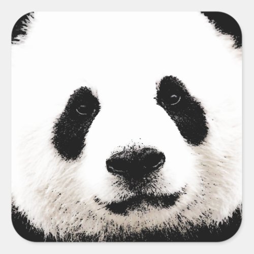 Panda Square Sticker