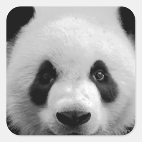 Panda Square Sticker