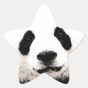 Panda Star Sticker