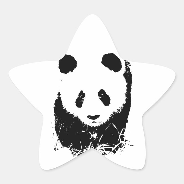 Panda Star Sticker (Front)