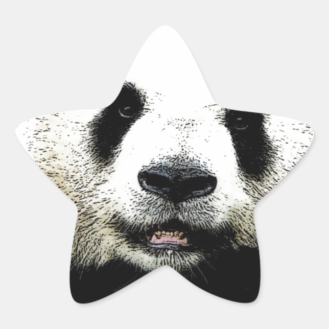 Panda Star Sticker (Front)