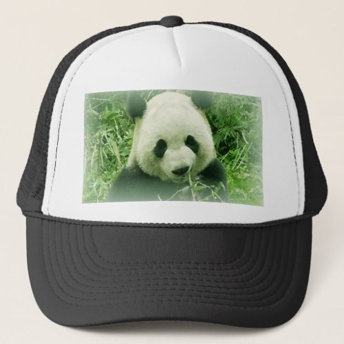 Panda Trucker Hat