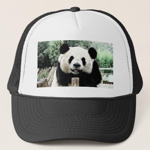 Panda Trucker Hat