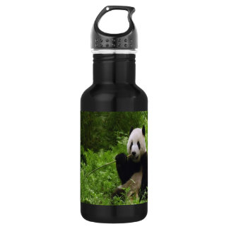 Panda Water Bottle