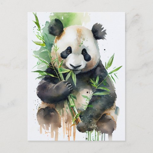 Panda with black and white fur   postcard
