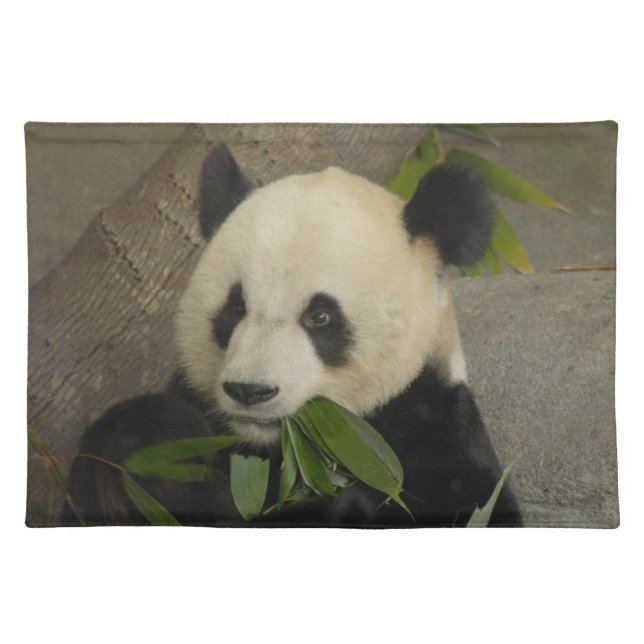 PandaM014 Cloth Placemat (Front)