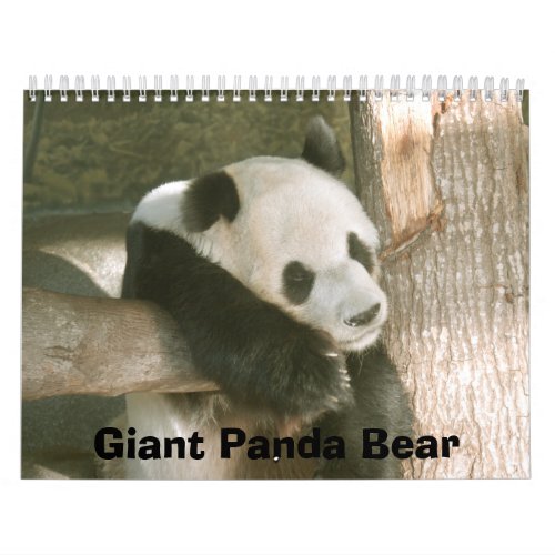 PandaM016 Giant Panda Bear Calendar