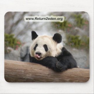 PandaM021 Mouse Pad