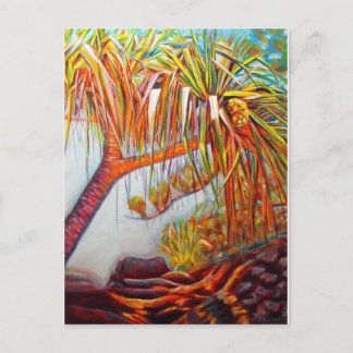 Pandanus Parasol Postcard