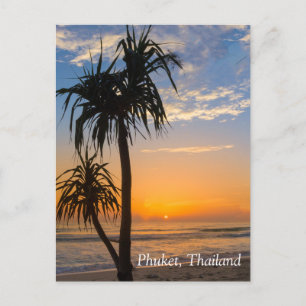 Pandanus tree at sunset, Laypang Beach, Bang Tao, Postcard