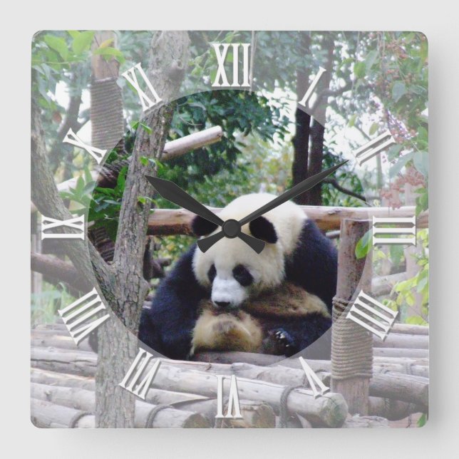 Panda's Advice "Always time for a break" / Panda Square Wall Clock (Front)