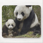 pandas mouse pad<br><div class="desc">mom and baby panda</div>