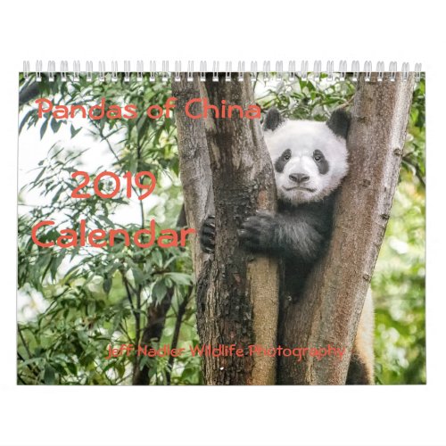 Pandas of China 2019 Wall Calendar