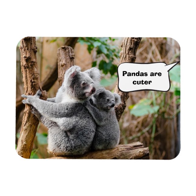 Pandas or Koalas - Which are cuter? Magnet (Horizontal)