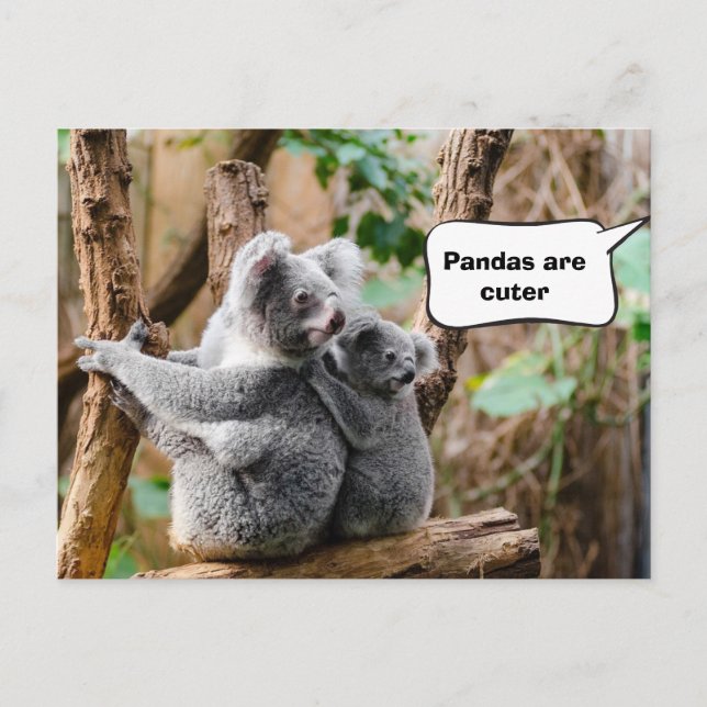 Pandas or Koalas - Which are cuter? Postcard (Front)