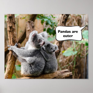 Pandas or Koalas - Which are cuter? Poster