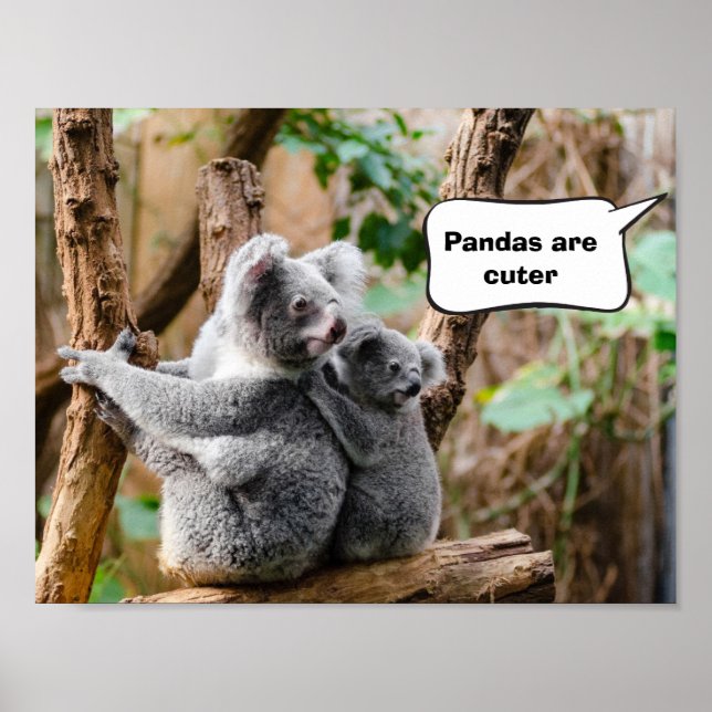 Pandas or Koalas - Which are cuter? Poster (Front)