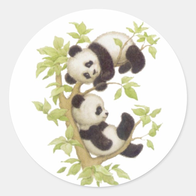 Pandas Playing in a Tree Classic Round Sticker (Front)