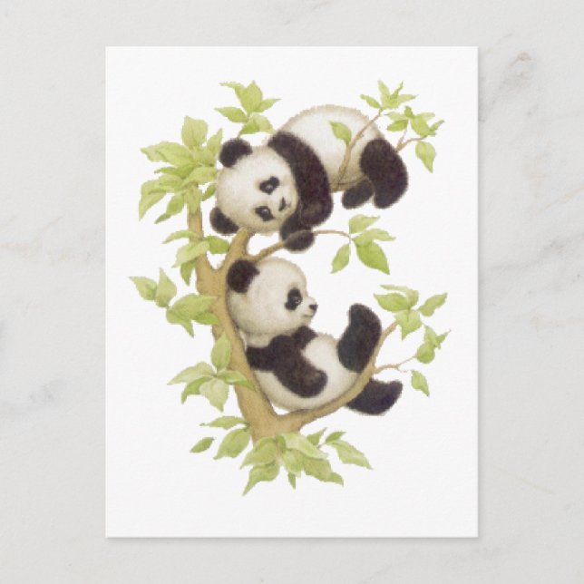 Pandas Playing in a Tree Postcard (Front)