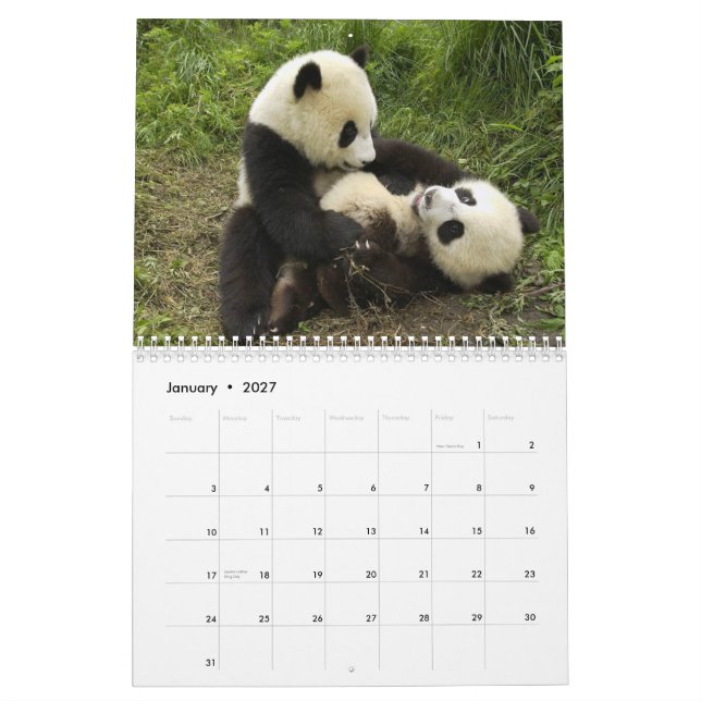 Pandas Wall Calendar (Jan 2027)