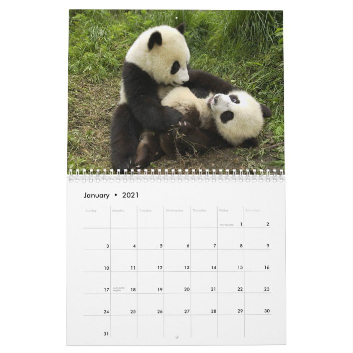 Pandas Wall Calendar Zazzle com