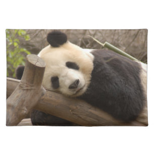 PandaSD010 Placemat