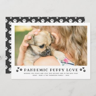 Pandemic Puppy Love New Puppy Dog Black Photo Holiday Card