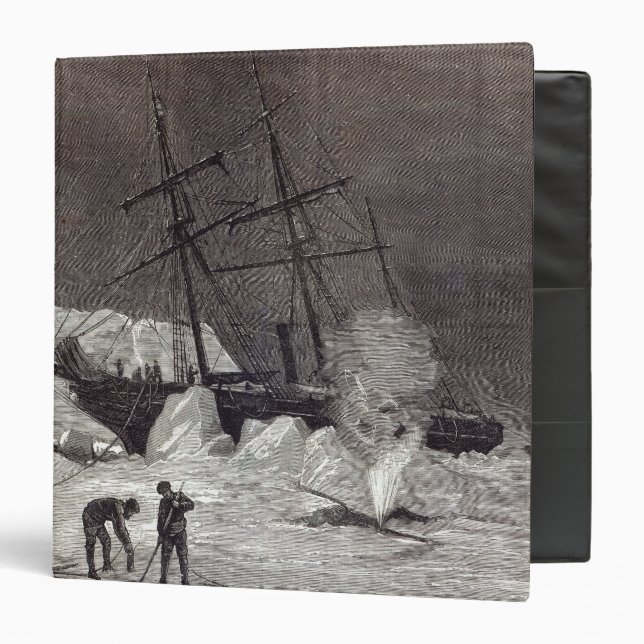 Pandora' nipped in the ice binder (Front/Inside)