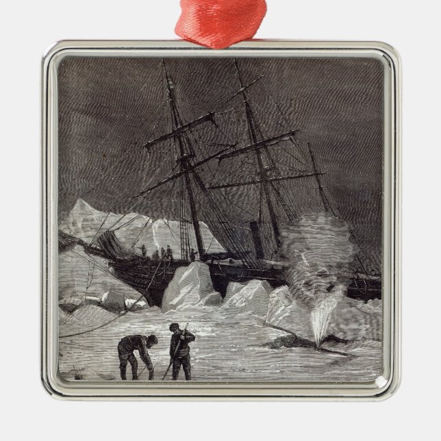 Pandora' nipped in the ice metal ornament (Front)