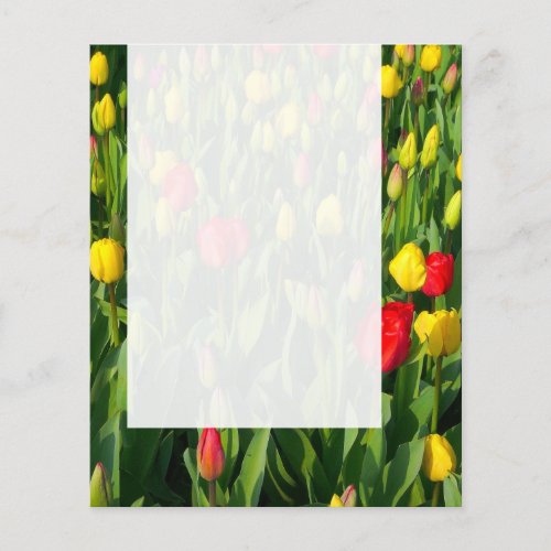 Panel 021 _ Tulips Flyer