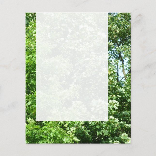 Panel 024 - Summer Breeze Flyer (Front)