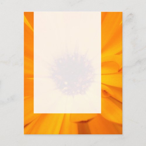 Panel 026 _ Orange Marigold Flyer