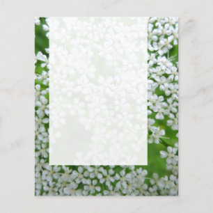 Panel 02 - Cow Parsley Flyer