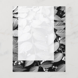 Panel 037 - Leaves Flyer