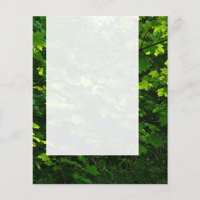 Panel 039 - Summer Leaves Flyer (Front)