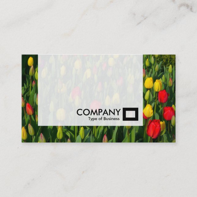 Panel - Tulips Business Card (Front)