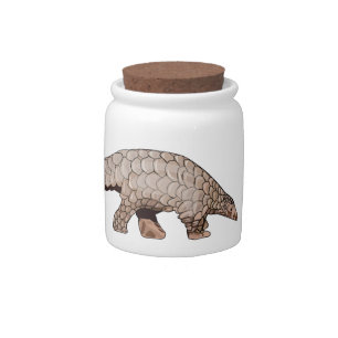 Pangolin cartoon illustration candy jar
